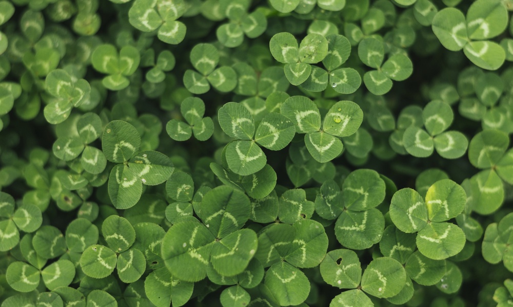 Glückliche Gewinnerin